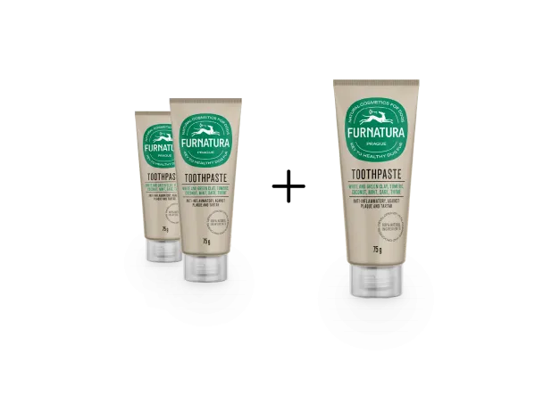 toothpast-21-no-back photo