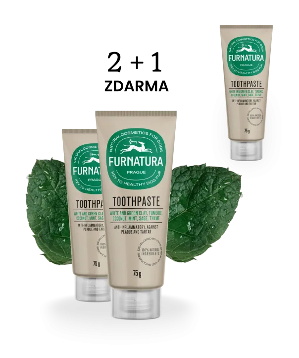 toothpaste-2-1-new photo