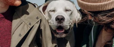 happy-dog.jpg